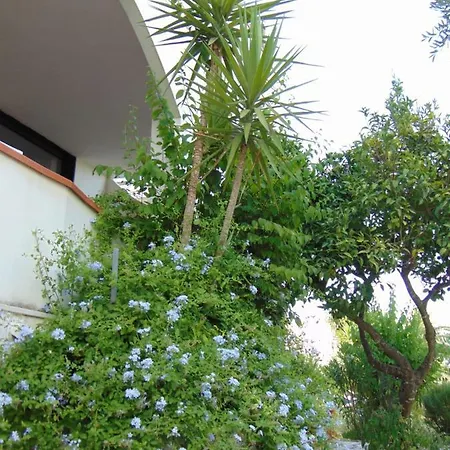 Antonio Calderisi 펜션 *