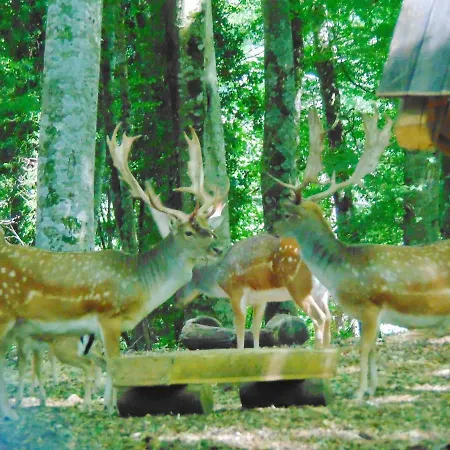 펜션 Antonio Calderisi *